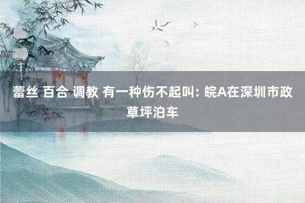 蕾丝 百合 调教 有一种伤不起叫: 皖A在深圳市政草坪泊车