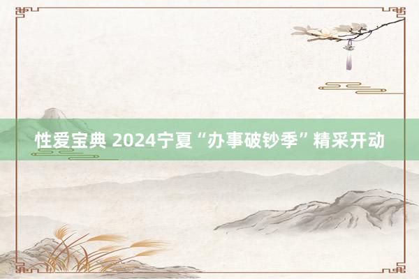 性爱宝典 2024宁夏“办事破钞季”精采开动