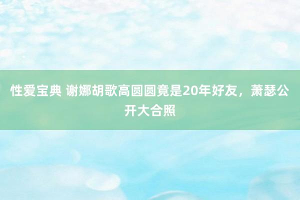 性爱宝典 谢娜胡歌高圆圆竟是20年好友，萧瑟公开大合照