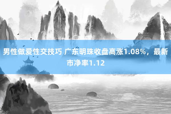 男性做爱性交技巧 广东明珠收盘高涨1.08%，最新市净率1.12