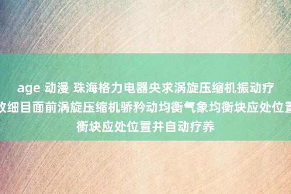 age 动漫 珠海格力电器央求涡旋压缩机振动疗养专利，大致细目面前涡旋压缩机骄矜动均衡气象均衡块应处位置并自动疗养