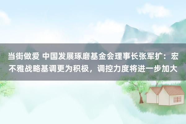 当街做爱 中国发展琢磨基金会理事长张军扩：宏不雅战略基调更为积极，调控力度将进一步加大