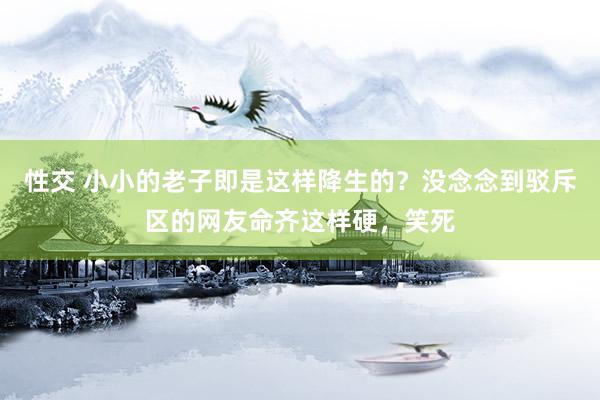 性交 小小的老子即是这样降生的？没念念到驳斥区的网友命齐这样硬，笑死