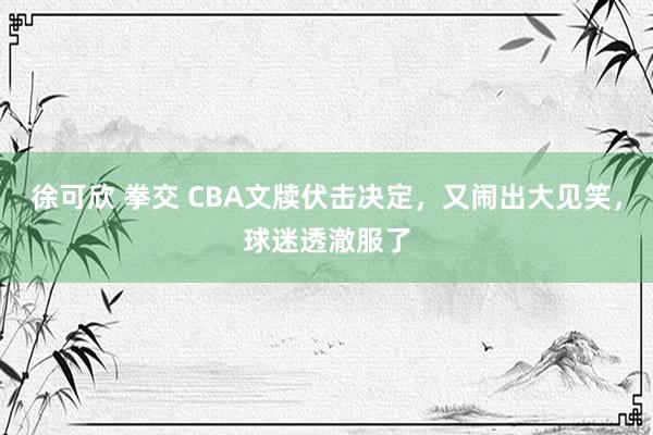 徐可欣 拳交 CBA文牍伏击决定，又闹出大见笑，球迷透澈服了