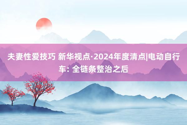 夫妻性爱技巧 新华视点·2024年度清点|电动自行车: 全链条整治之后