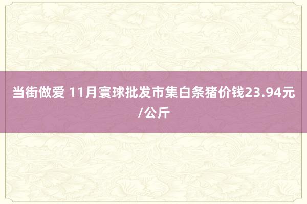 当街做爱 11月寰球批发市集白条猪价钱23.94元/公斤