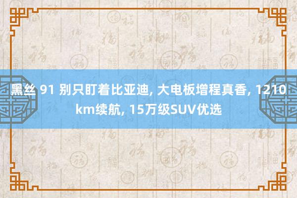 黑丝 91 别只盯着比亚迪， 大电板增程真香， 1210km续航， 15万级SUV优选