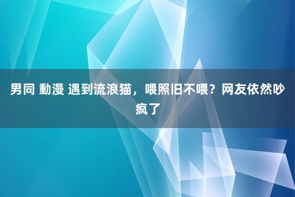 男同 動漫 遇到流浪猫，喂照旧不喂？网友依然吵疯了