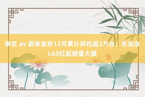 拳交 av 蔚来发布12月累计拜托超3万台：乐说念L60扛起销量大旗