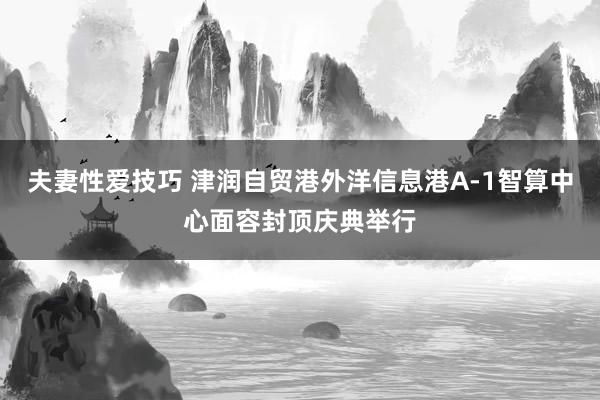 夫妻性爱技巧 津润自贸港外洋信息港A-1智算中心面容封顶庆典举行