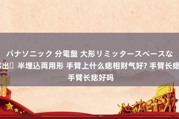 パナソニック 分電盤 大形リミッタースペースなし 露出・半埋込両用形 手臂上什么痣相财气好? 手臂长痣好吗