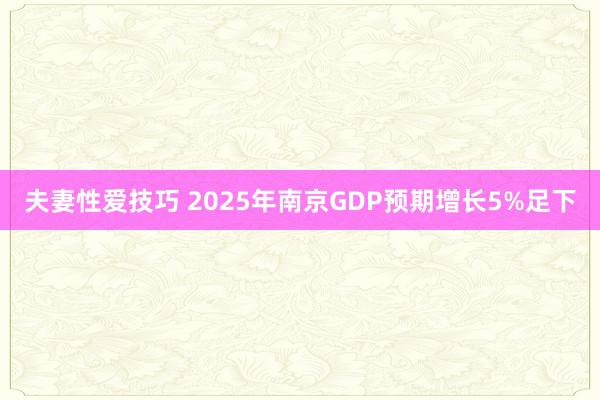 夫妻性爱技巧 2025年南京GDP预期增长5%足下